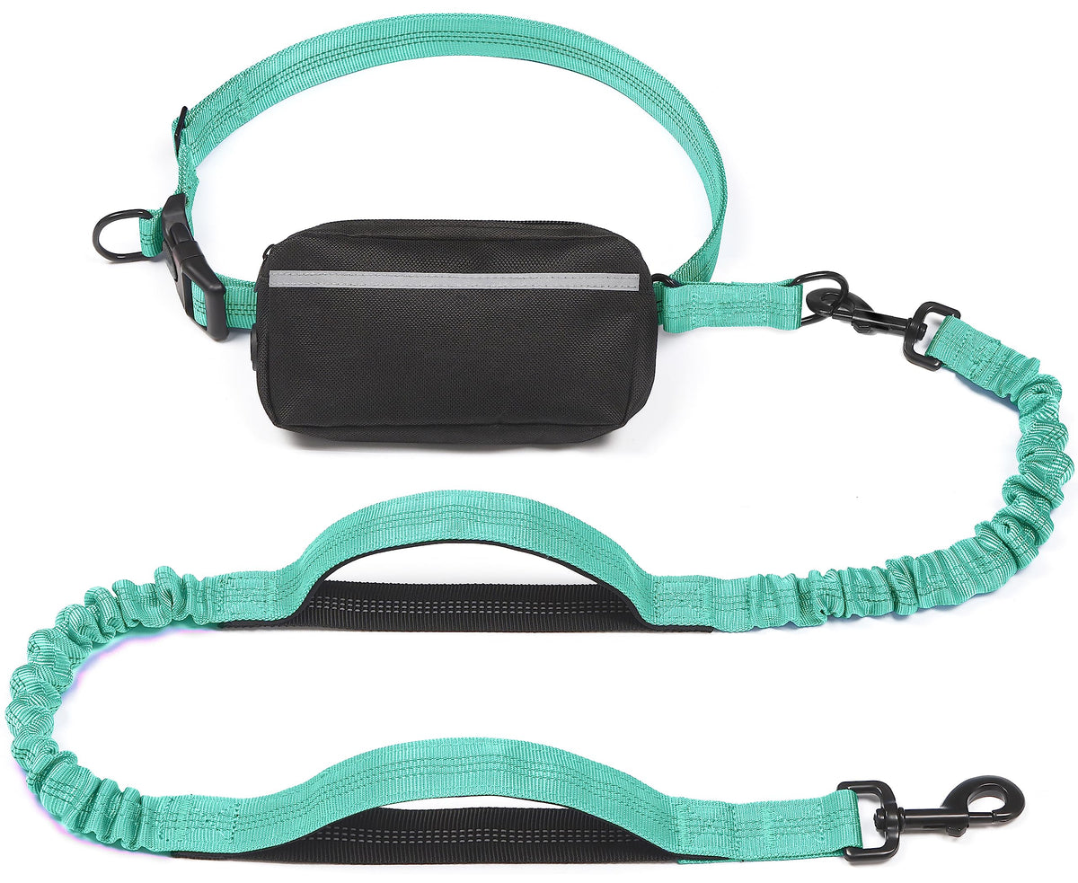 iYoShop Hands Free Dog Leash with Zipper Pouch, Large, 25-120 lbs, Blue