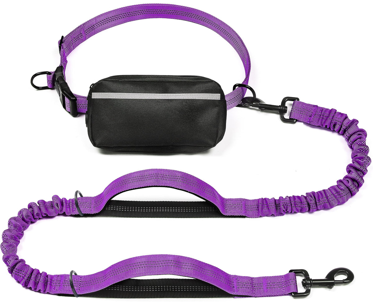 iYoShop Hands Free Dog Leash with Zipper Pouch, Large, 25-120 lbs, Blue